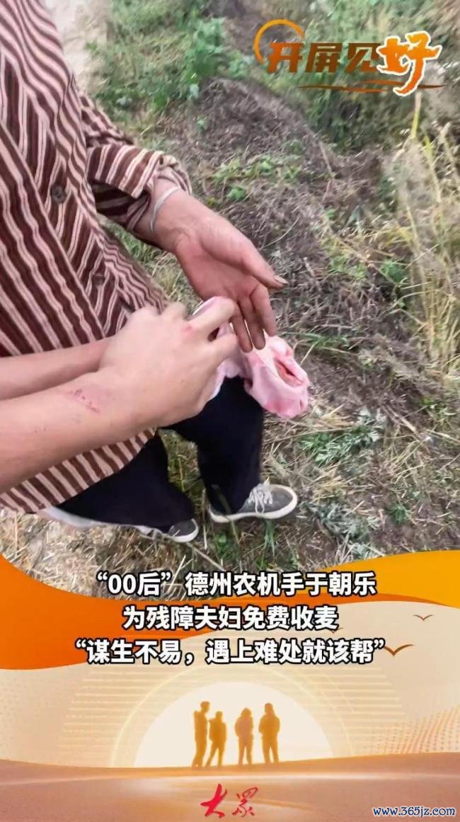 61岁“麦客”携男儿半子跨三省助收