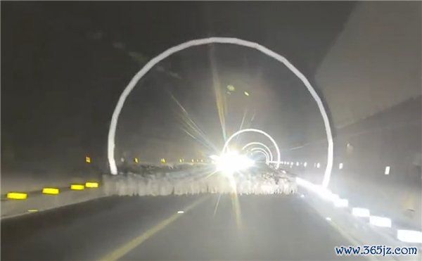 交警回复能够撞倒29只羊负全责 牧谈通行王法需尊重