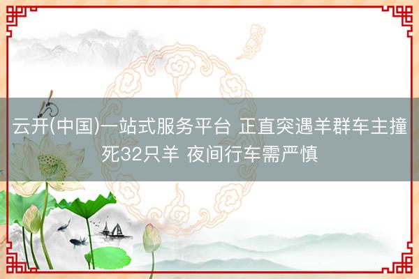云开(中国)一站式服务平台 正直突遇羊群车主撞死32只羊 夜间行车需严慎