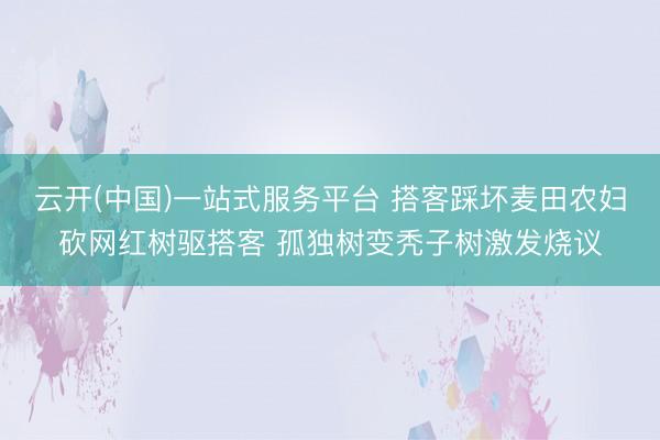 云开(中国)一站式服务平台 搭客踩坏麦田农妇砍网红树驱搭客 孤独树变秃子树激发烧议