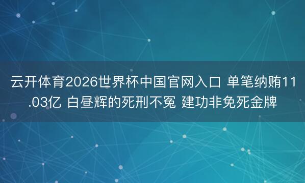云开体育2026世界杯中国官网入口 单笔纳贿11.03亿 白昼辉的死刑不冤 建功非免死金牌