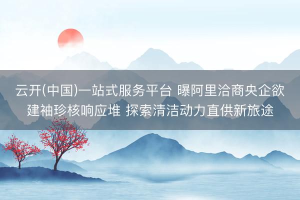 云开(中国)一站式服务平台 曝阿里洽商央企欲建袖珍核响应堆 探索清洁动力直供新旅途