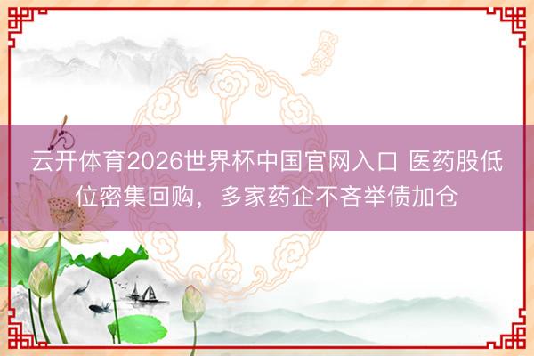 云开体育2026世界杯中国官网入口 医药股低位密集回购，多家药企不吝举债加仓