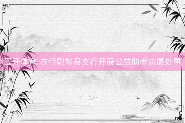 云开体育 农行尉犁县支行开展公益助考志愿处事