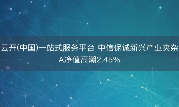 云开(中国)一站式服务平台 中信保诚新兴产业夹杂A净值高潮2.45%