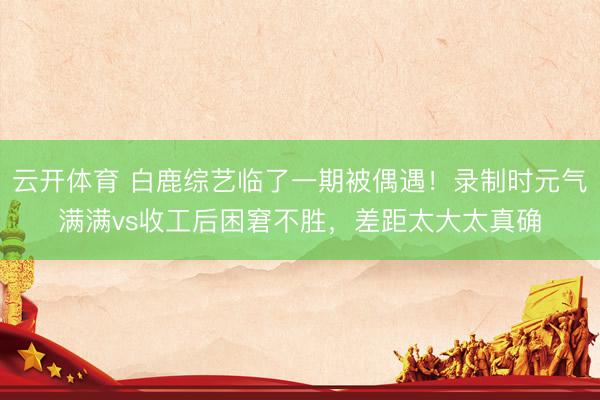 云开体育 白鹿综艺临了一期被偶遇!录制时元气满满vs收工后困窘不胜,差距太大太真确