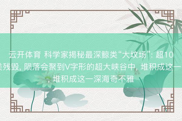 云开体育 科学家揭秘最深鲸类“大坟场”: 超1000万具鲸类残毁， 陨落会聚到V字形的超大峡谷中， 堆积成这一深海奇不雅