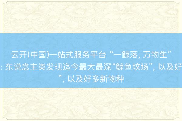 云开(中国)一站式服务平台 “一鲸落， 万物生”具像化了: 东说念主类发现迄今最大最深“鲸鱼坟场”， 以及好多新物种