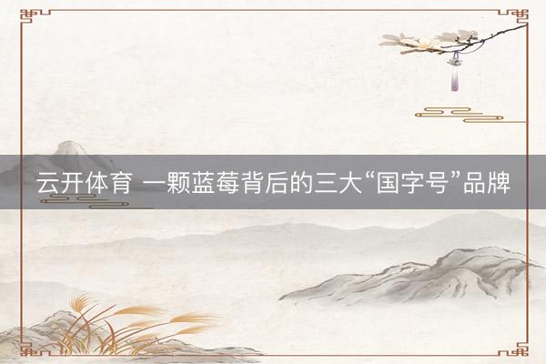 云开体育 一颗蓝莓背后的三大“国字号”品牌