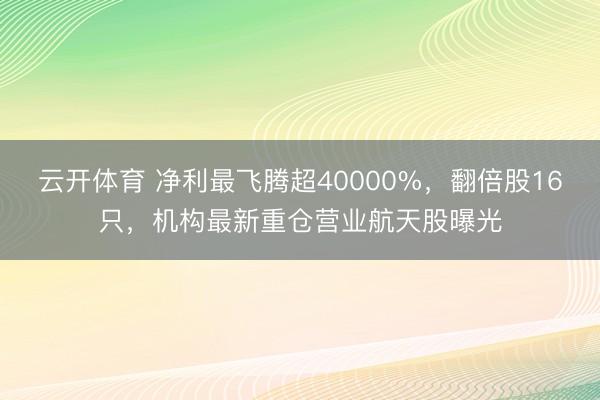 云开体育 净利最飞腾超40000%，翻倍股16只，机构最新重仓营业航天股曝光