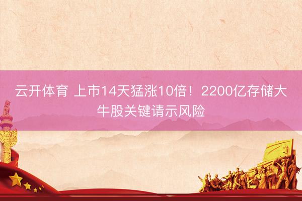 云开体育 上市14天猛涨10倍!2200亿存储大牛股关键请示风险